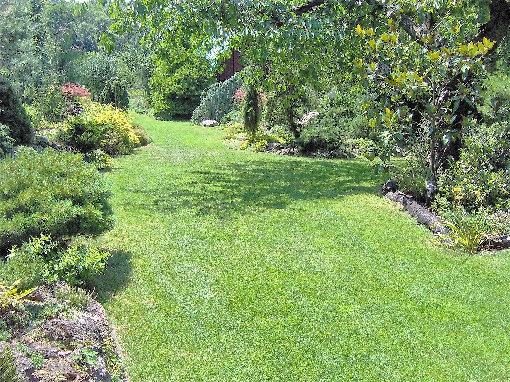 Po-pestrofarebnej-jari-leto-skľudní-záhradu-osviežujúcou-zeleňou-1024x768