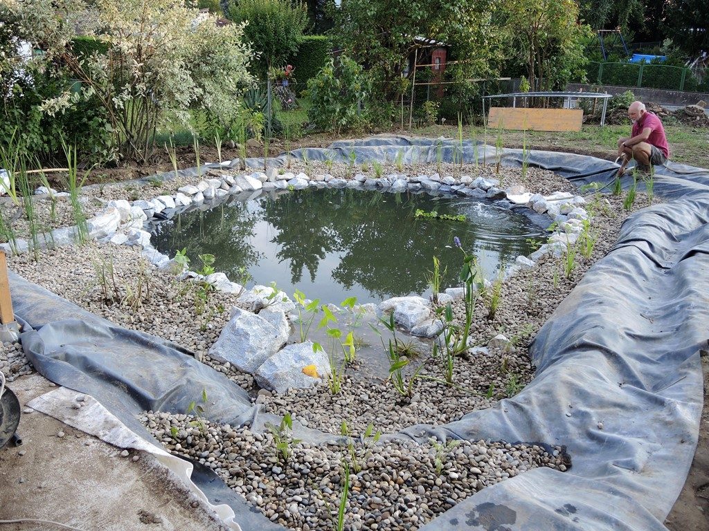 Záhradné-jazierko-vysadené-vodnými-rastlinami-krátko-pred-dokončením-1-1024x768